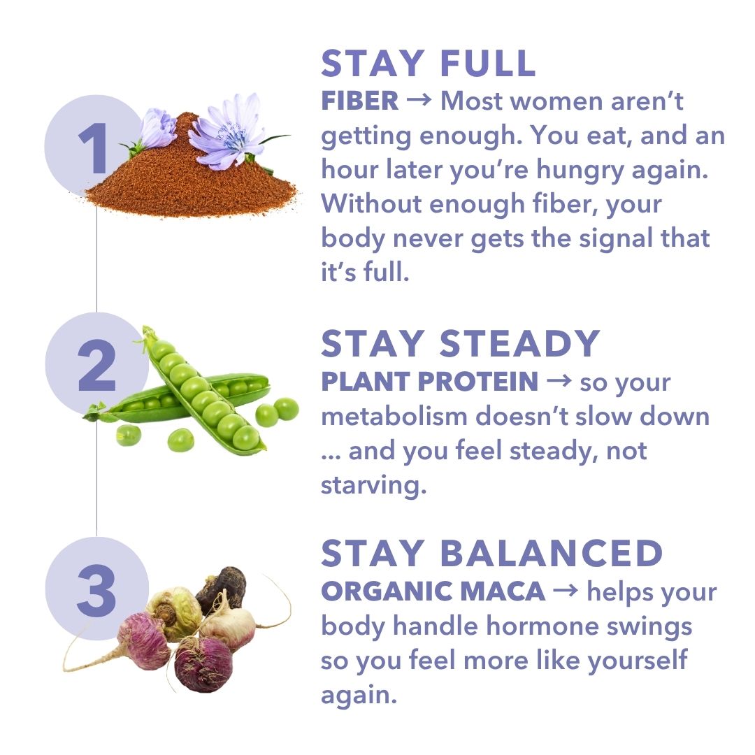 MenoWell Menobars - Variety Pack 30 Count Bundle